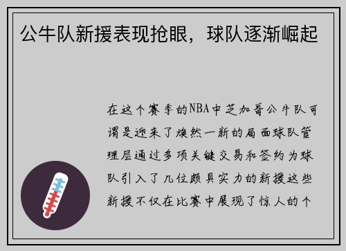 公牛队新援表现抢眼，球队逐渐崛起